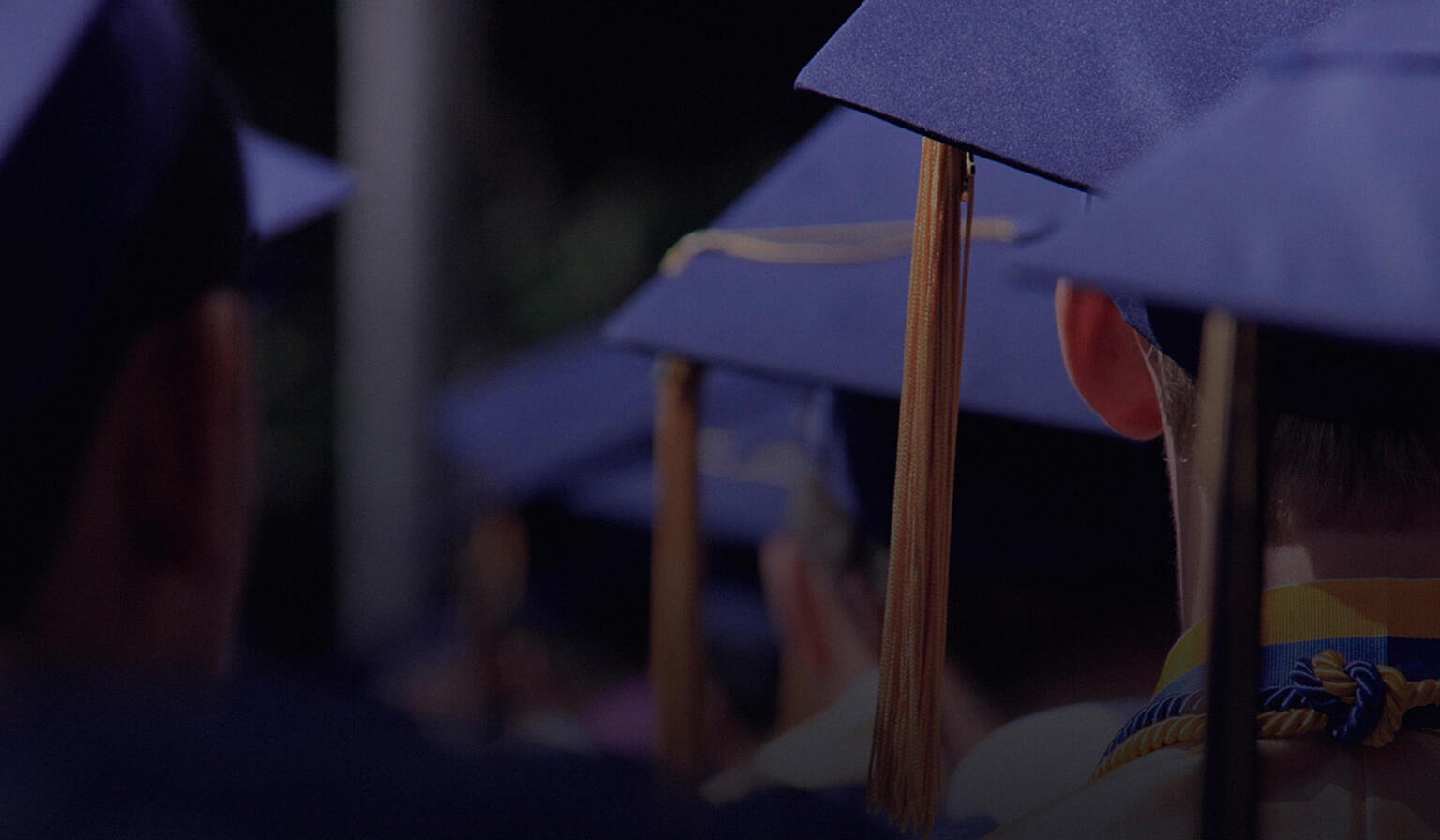 Row of people in graduation caps captured from behind.